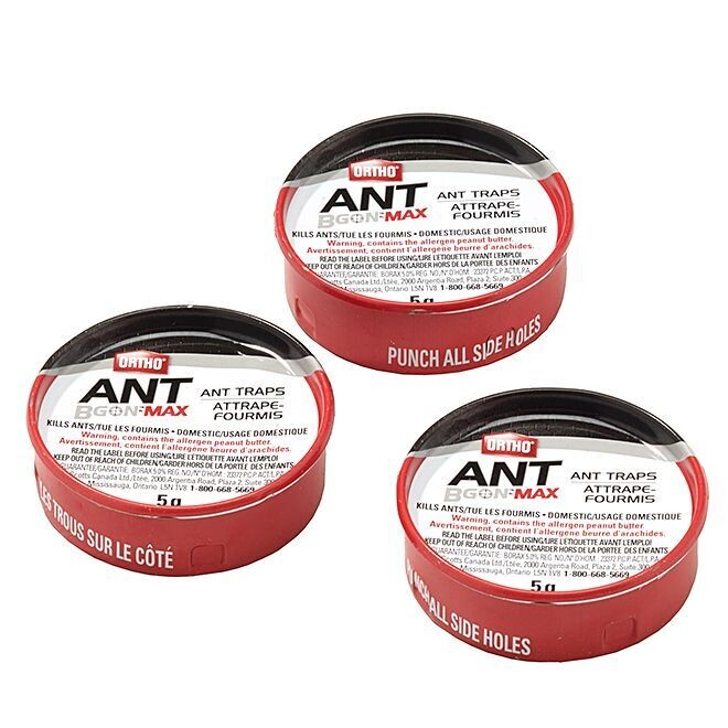 ORTHO ANT TRAP SINGLES Ortho single ant trap for ant control.