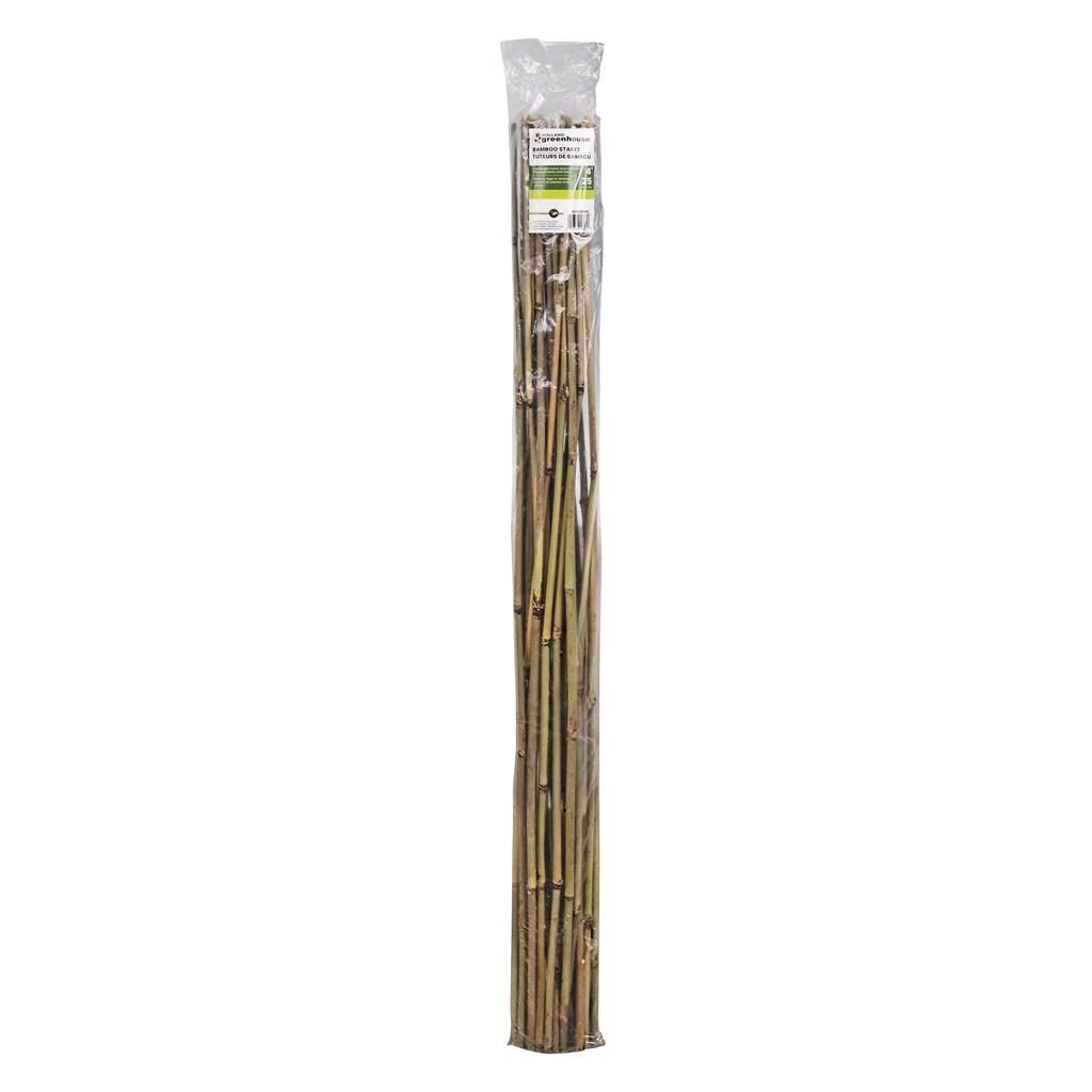 4 foot bamboo stake for supporting plants and vines in the garden.
