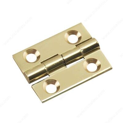 1 inch by 3/4 inch solid brass narrow hinge.