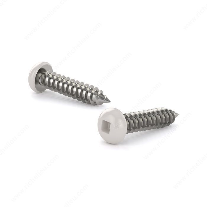 #8 x 1-1/4 inch pan head screw with a painted white finish.