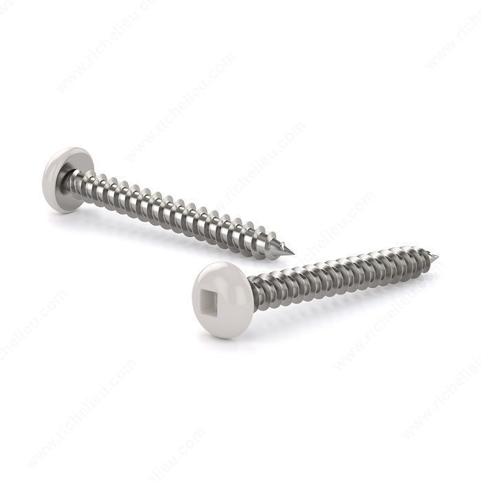 #8 x 5/8 Inch Pan Head Screw, painted white finish.