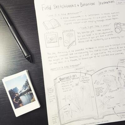 Field Sketchbook Pamphlet