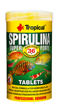 Tropical Spirulina 36% Super Forte Tablets adhésive, Taille: 50ml 80 tablettes