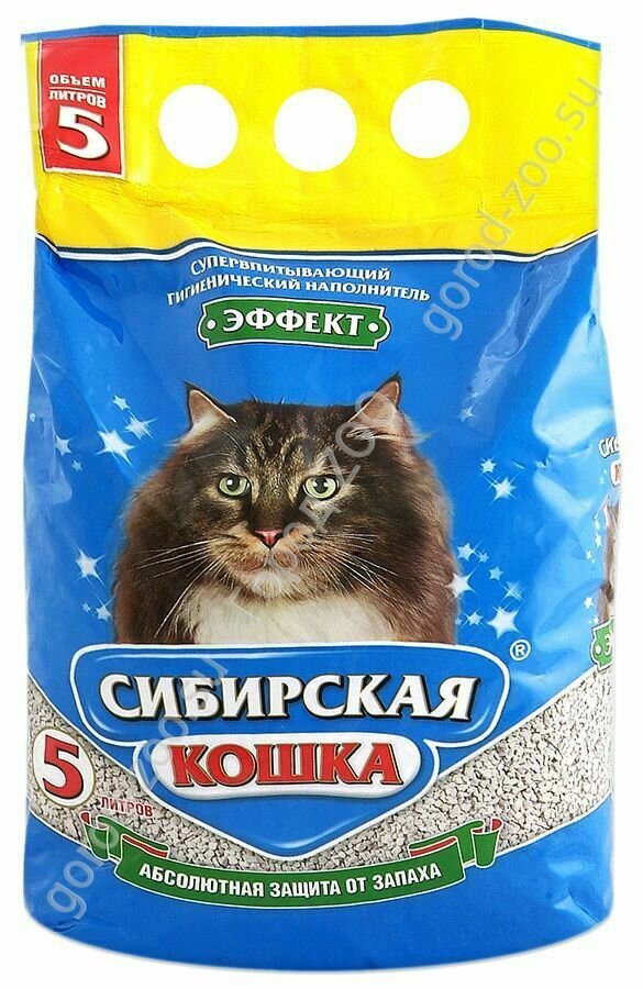 Сибирская кошка Эффект 3л