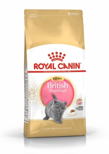 Royal CANIN Kitten british