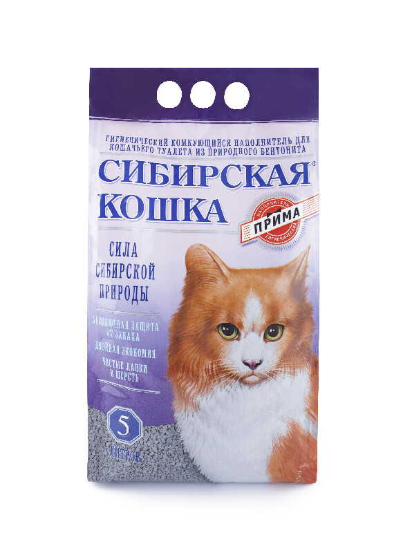 Сибирская кошка Прима