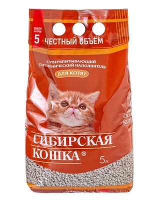 Сибирская кошка для котят