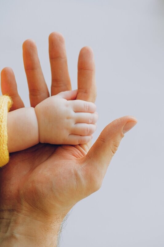 Minor Child Protection Plan B