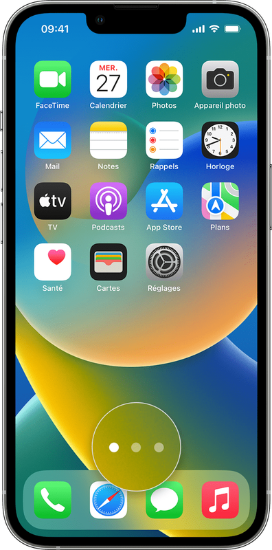 LICENCE MARGINALE 12 MOIS