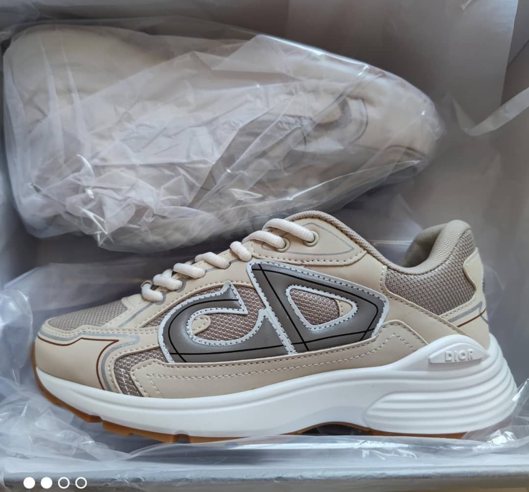 Sneaker Dior B30 Dupe