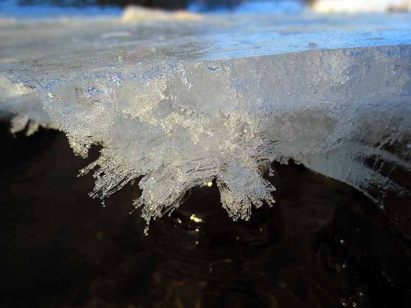 Ice Needles & Surface Turkey River, January 2013