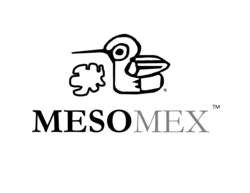 MESOMEX by Colibri LLC store