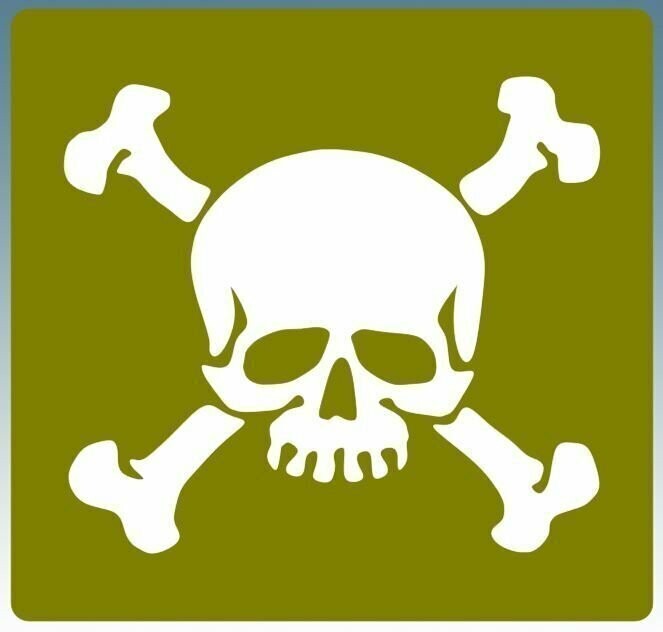 Skull and crossbones stencil for re-enactors ww2 army Whites halftrack Diamond T