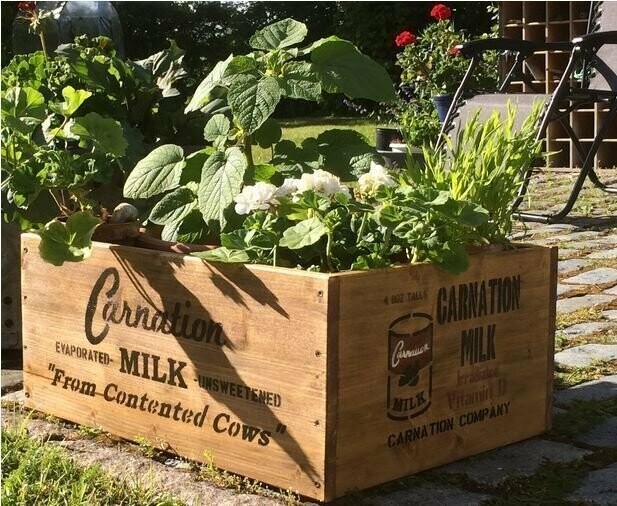 Carnation Milk box stencil set to suit re-enactors ww2 army J eep prop