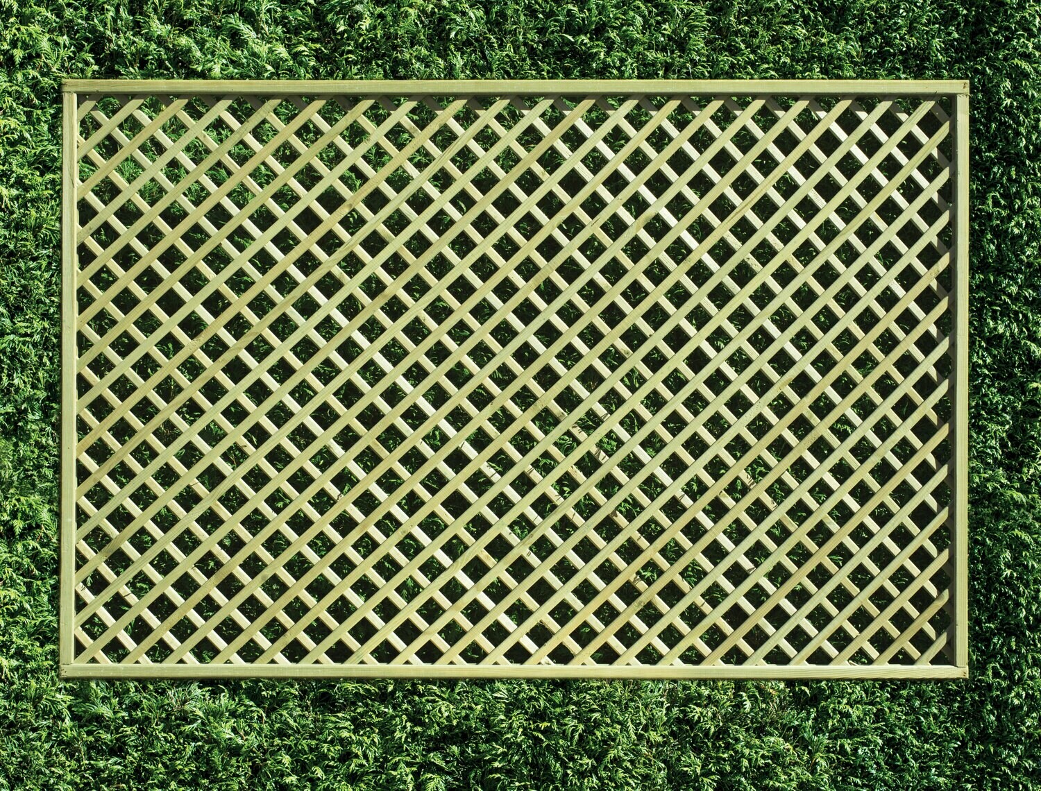 Trellis Panels