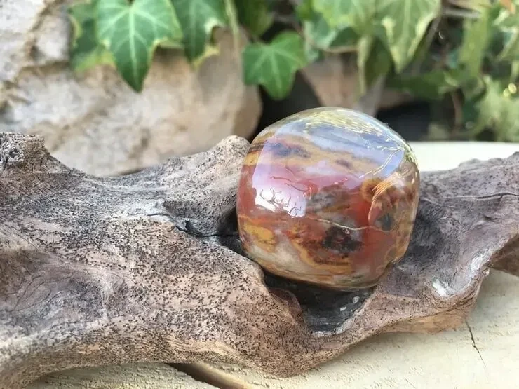 Pierre roulée Naturelle Bois Fossilisé AA USA (35 g) - Bien-être et Apaisement - Pierre Qualité Supérieure