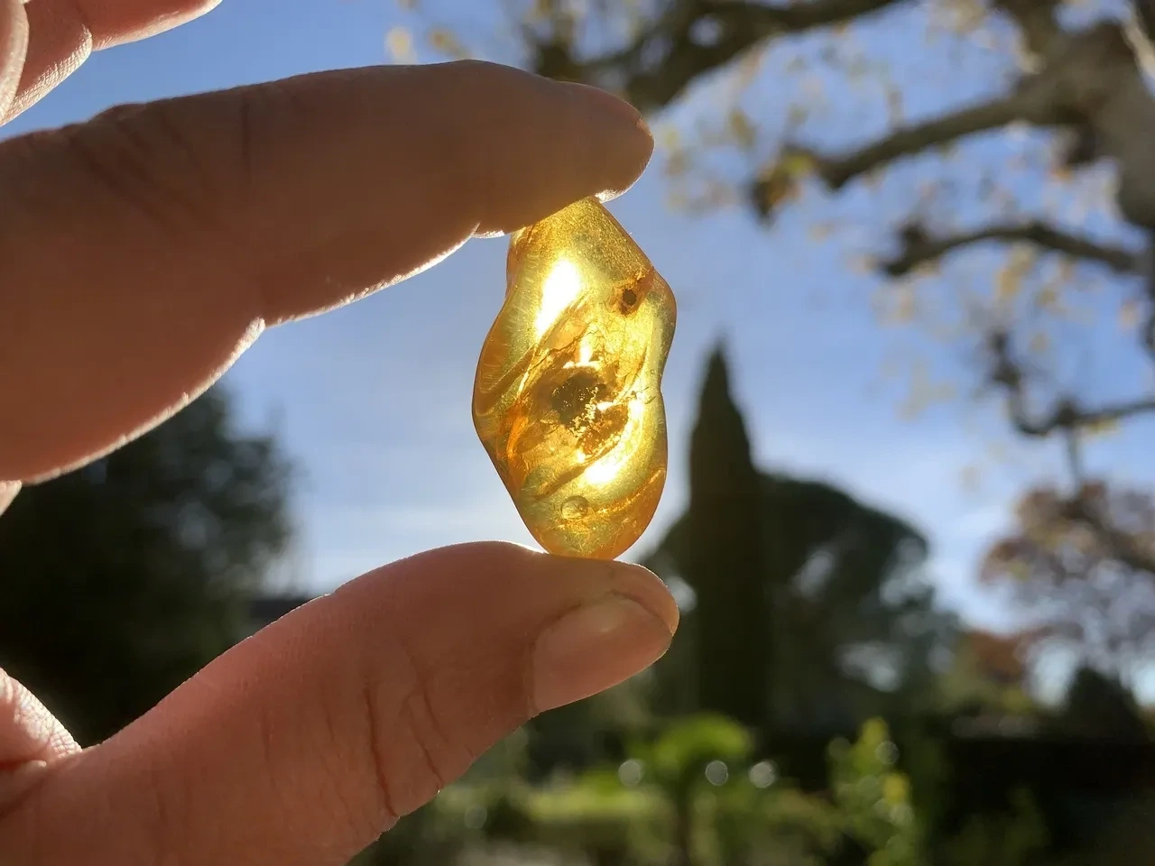 Ambre Jaune Extra (4,4 g) - Mer Baltique - Ambre Naturel Top Qualité (la meilleure)