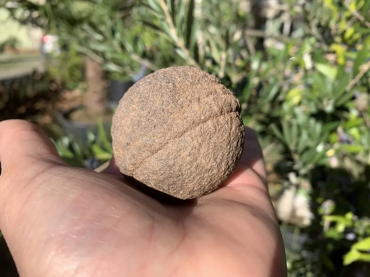 Moquis Marbles 5 cm (mâle et femelle) Naturels USA - Protection et Introspection - Pierres Chamaniques Rares