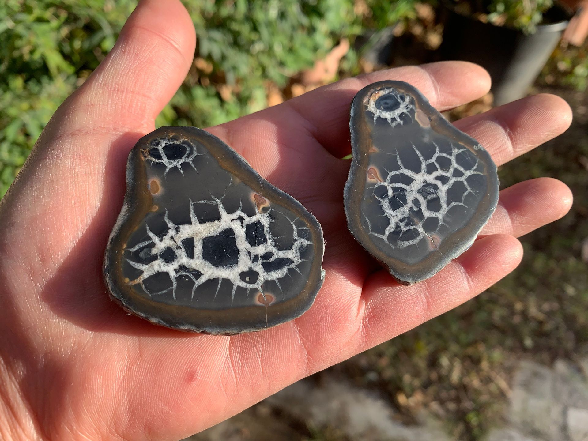 Nodule ouvert Septaria AAA (84 g) - Maroc - Pierre Naturelle Top Qualité (la meilleure)