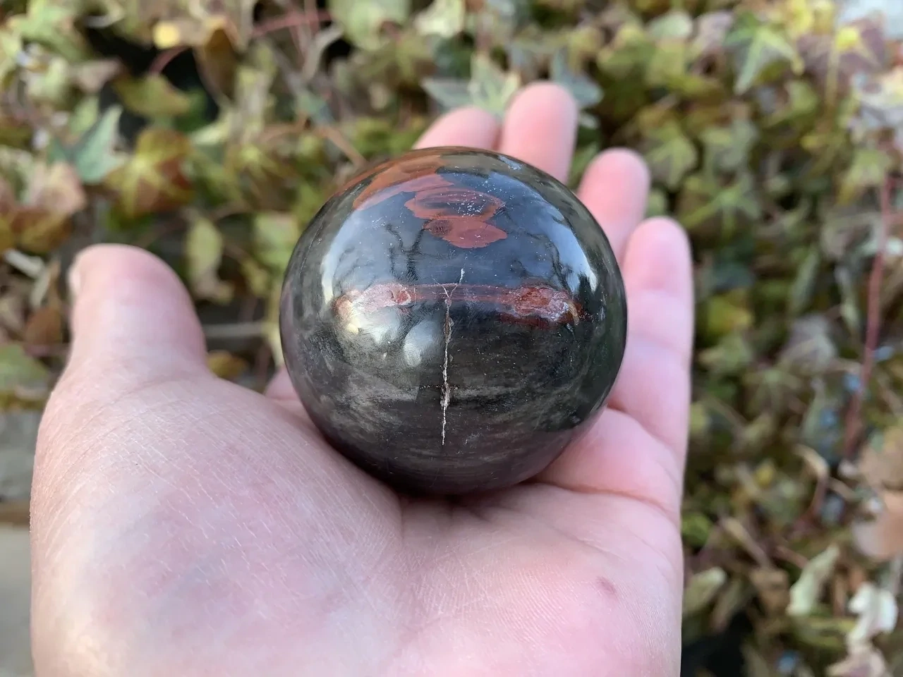 Sphère Bois Fossilisé A (50 mm - 187 g) Pierre Naturelle USA