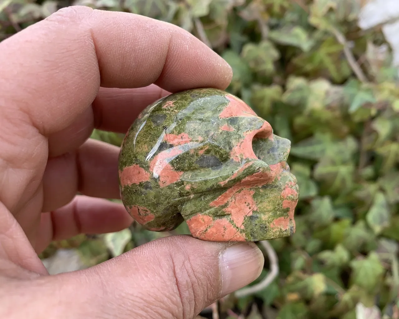 Crâne Unakite A+ (50 mm) Pierre Naturelle Afrique du sud