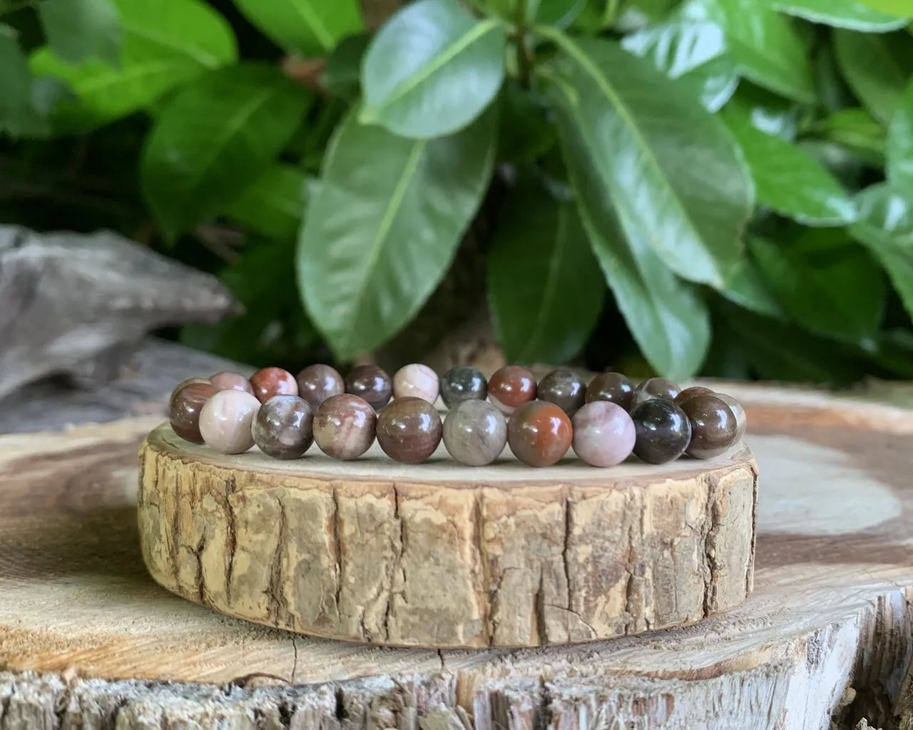 bracelet bois fossile AA