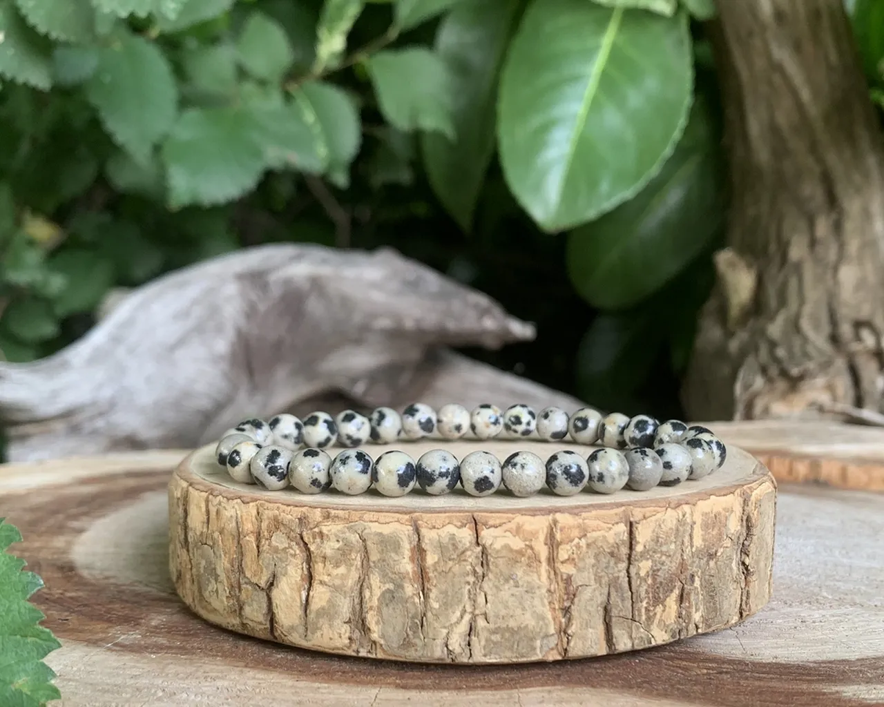 Bracelet Jaspe Dalmatien A Naturel - Mexique