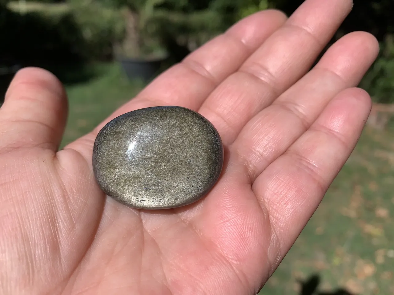 Galet Obsidienne Dorée Extra