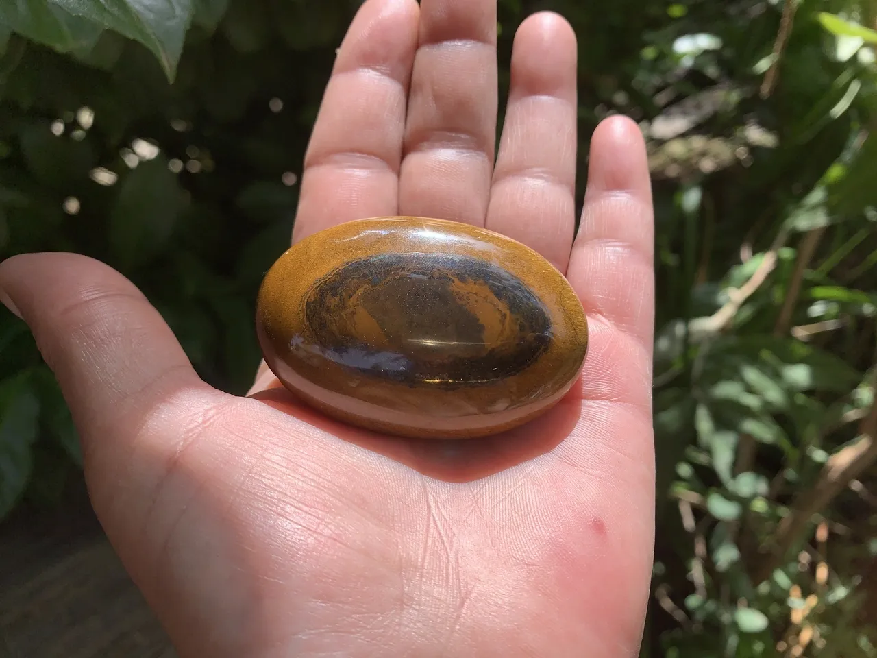 Galet Œil-de-Tigre A 