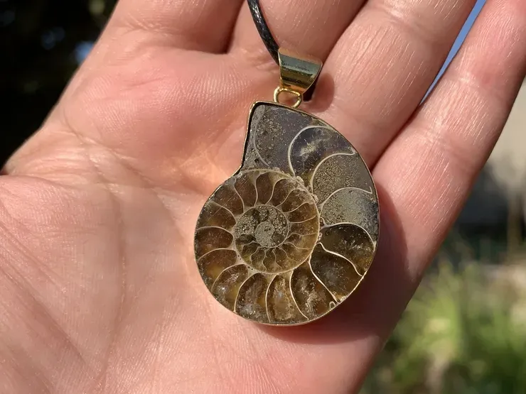 Collier Ammonite AA - Ancrage et Mémoires Anciennes - 