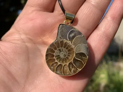 Collier Ammonite AA - Ancrage et Mémoires Anciennes - 