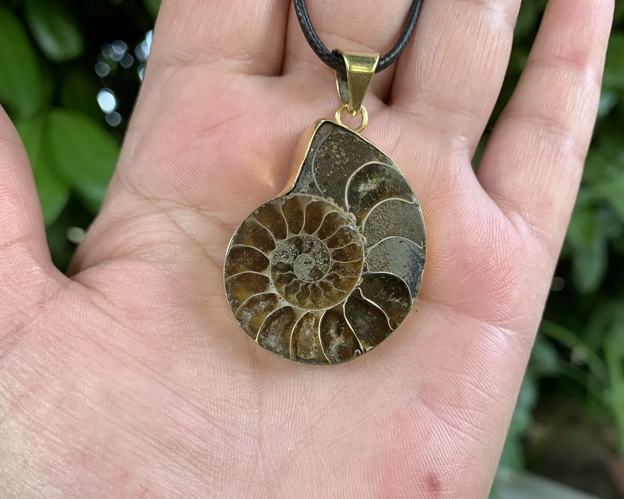 Collier Ammonite AA - Ancrage et Mémoires Anciennes -