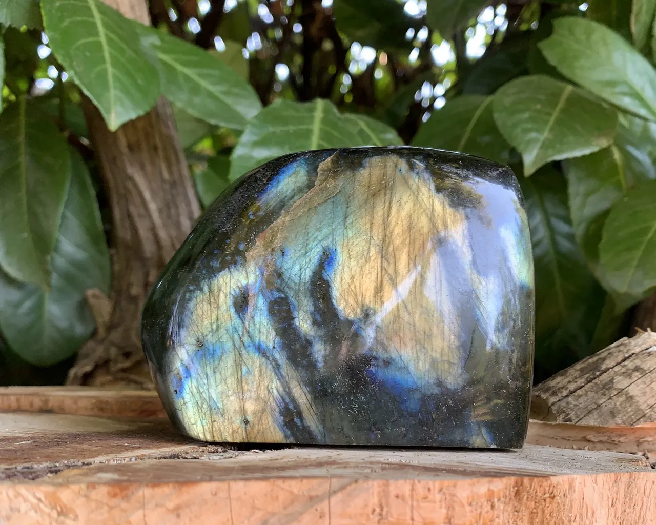 Labradorite Spectrolite AA - Pierre Naturelle Qualité Supérieure Madagascar