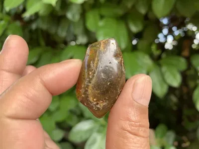 Ambre A Cognac (6 g) - Mer Baltique - Ambre Naturel
