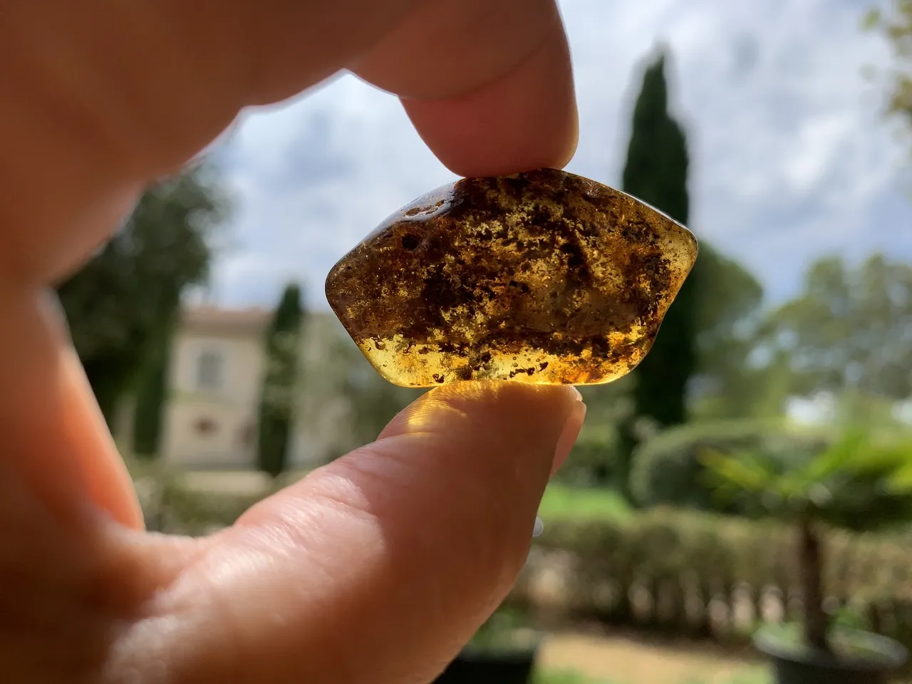 Ambre A Cognac (6 g) - Mer Baltique - Ambre Naturel