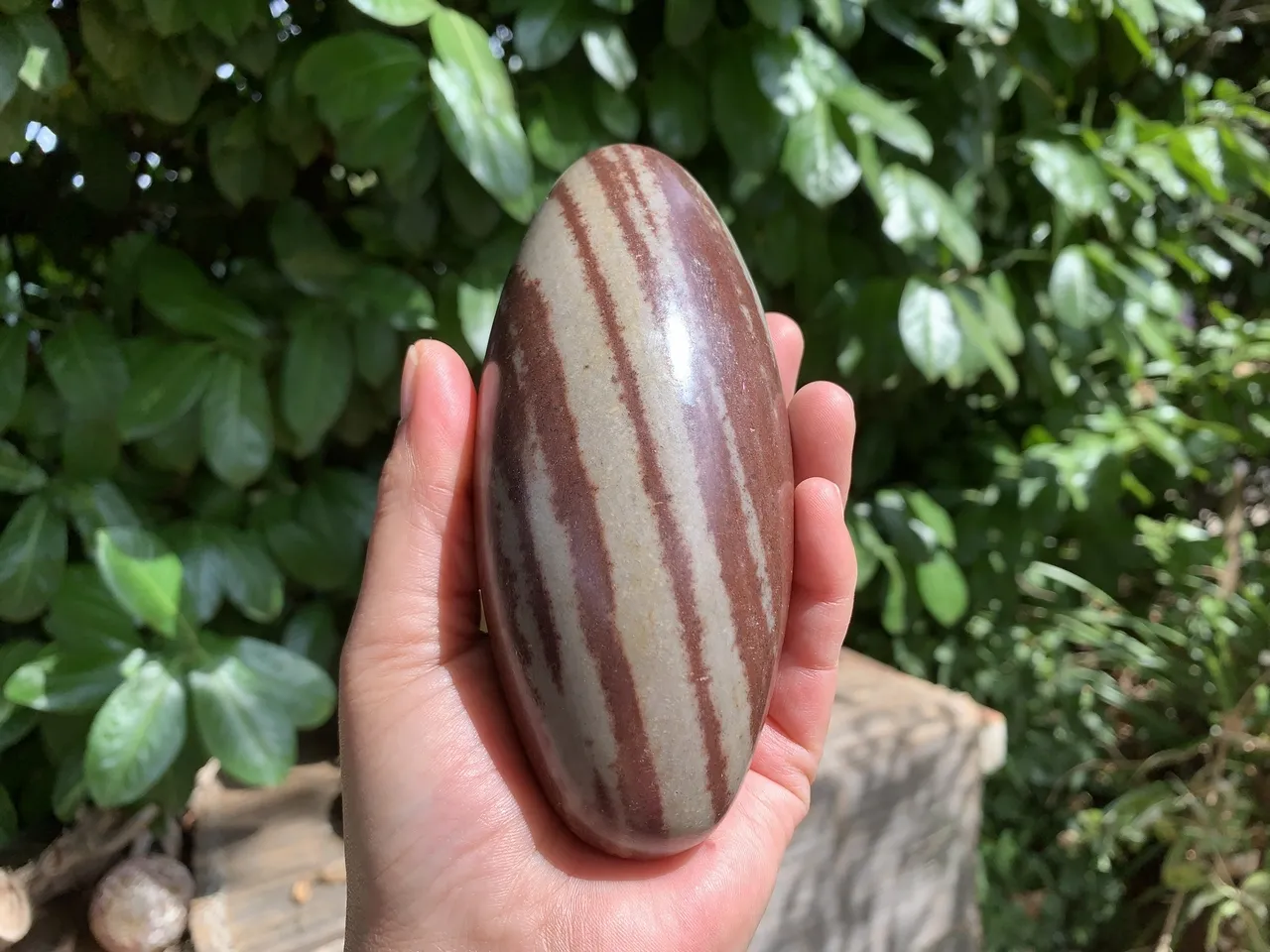 Shiva Lingam AA Naturelle (686 g) - Inde - Pierre Chamanique Rare Qualité Supérieure