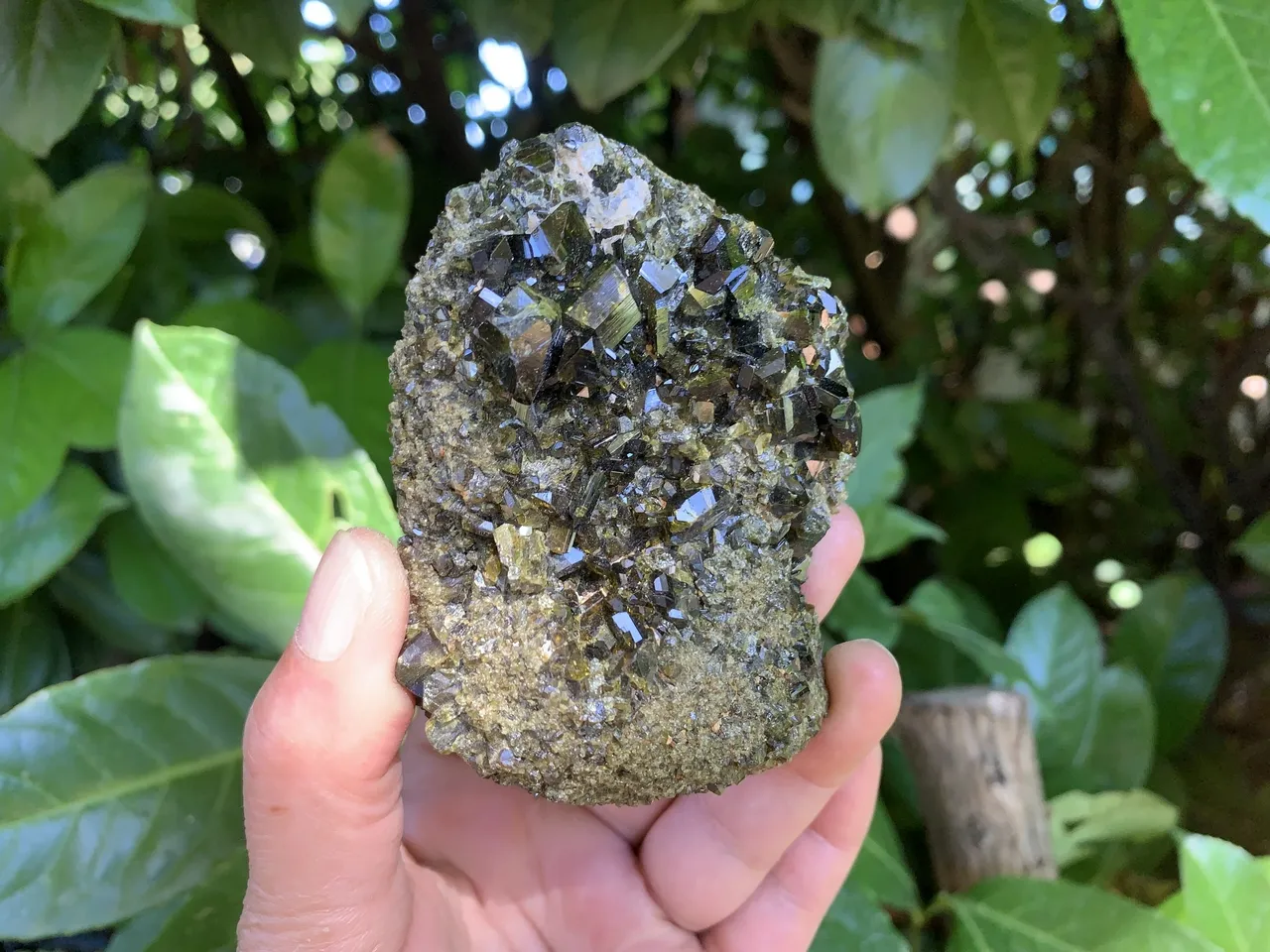 Épidote brute AAA  - Cristaux Naturels Rares de Qualité Exceptionnelle (360 g) Pérou