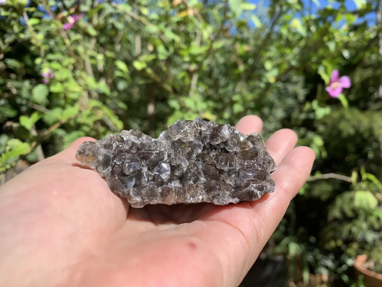 Calcite Noire AA brute (121 g) Cristaux Naturels Rares Qualités Supérieures  - Mexique