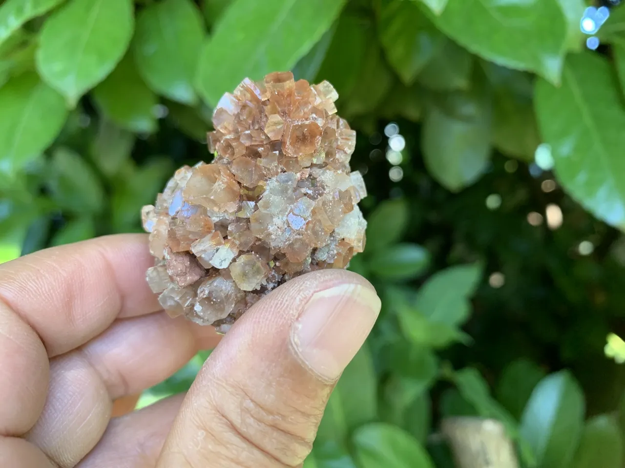 Aragonite brute A+ - Cristaux Naturels (91 g) Maroc