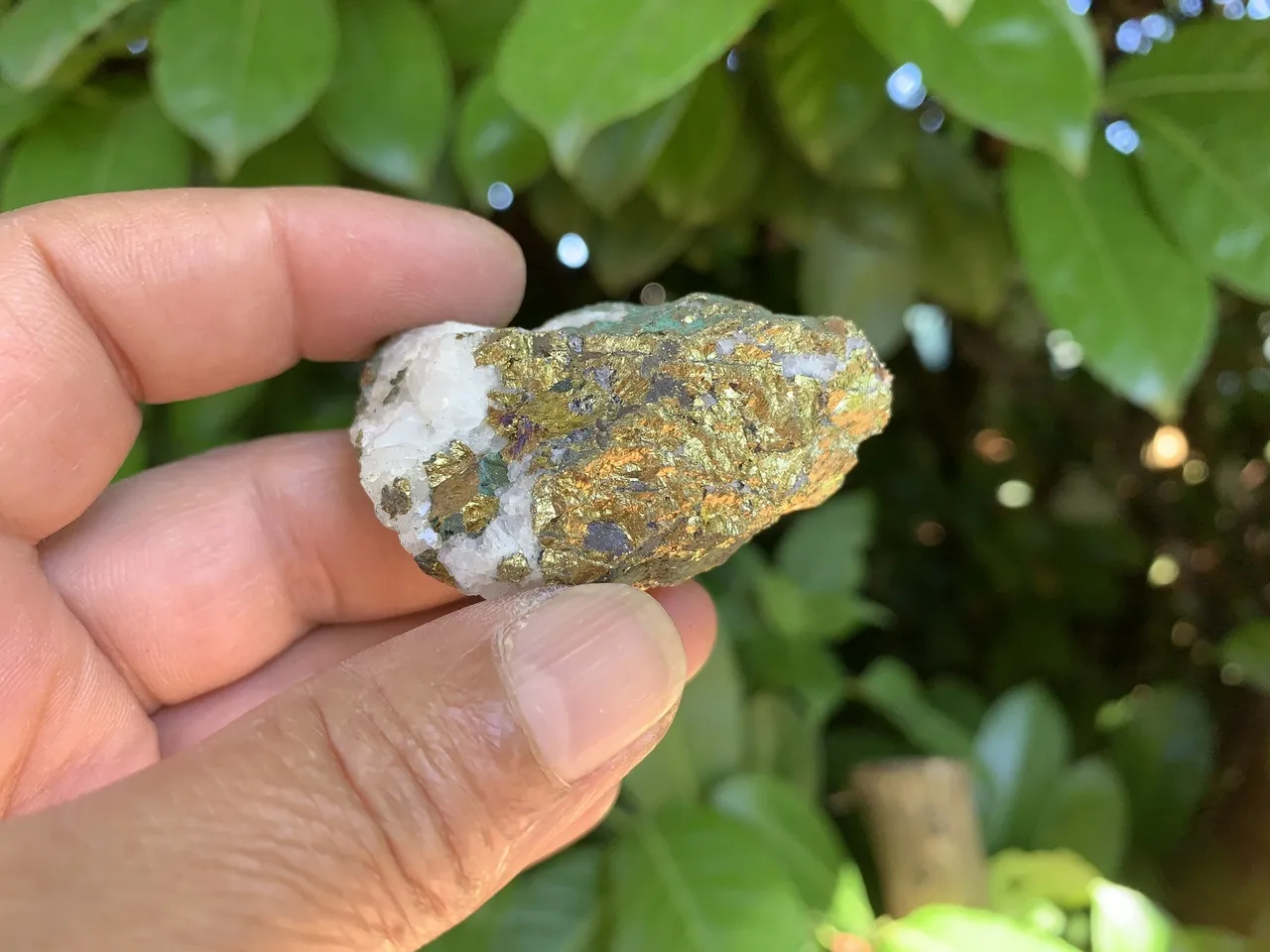 Chalcopyrite Quartz AA (47 g) Pierre Naturelle Maroc