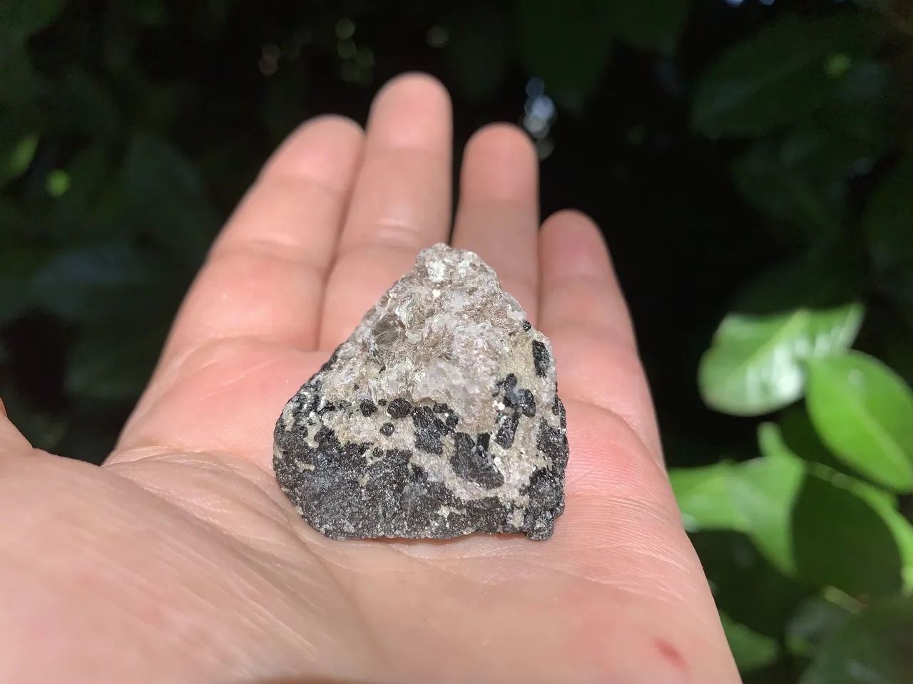 Tourmaline Noire Quartz/Mica AA (31 g) Pierre Naturelle Brésil