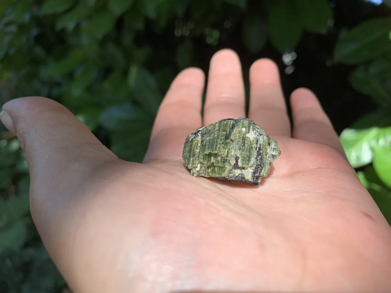 Tourmaline Verte Œil-de-chat A+ (19 g) - Brésil - Pierre Naturelle Rare
