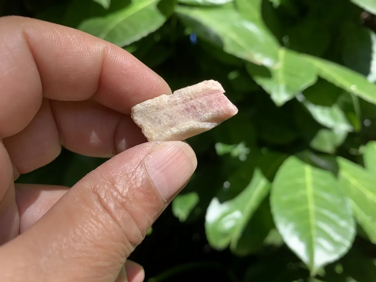 Tourmaline Rose (Rubellite) brute A (7 g) - Pierre Naturelle Rare Namibie