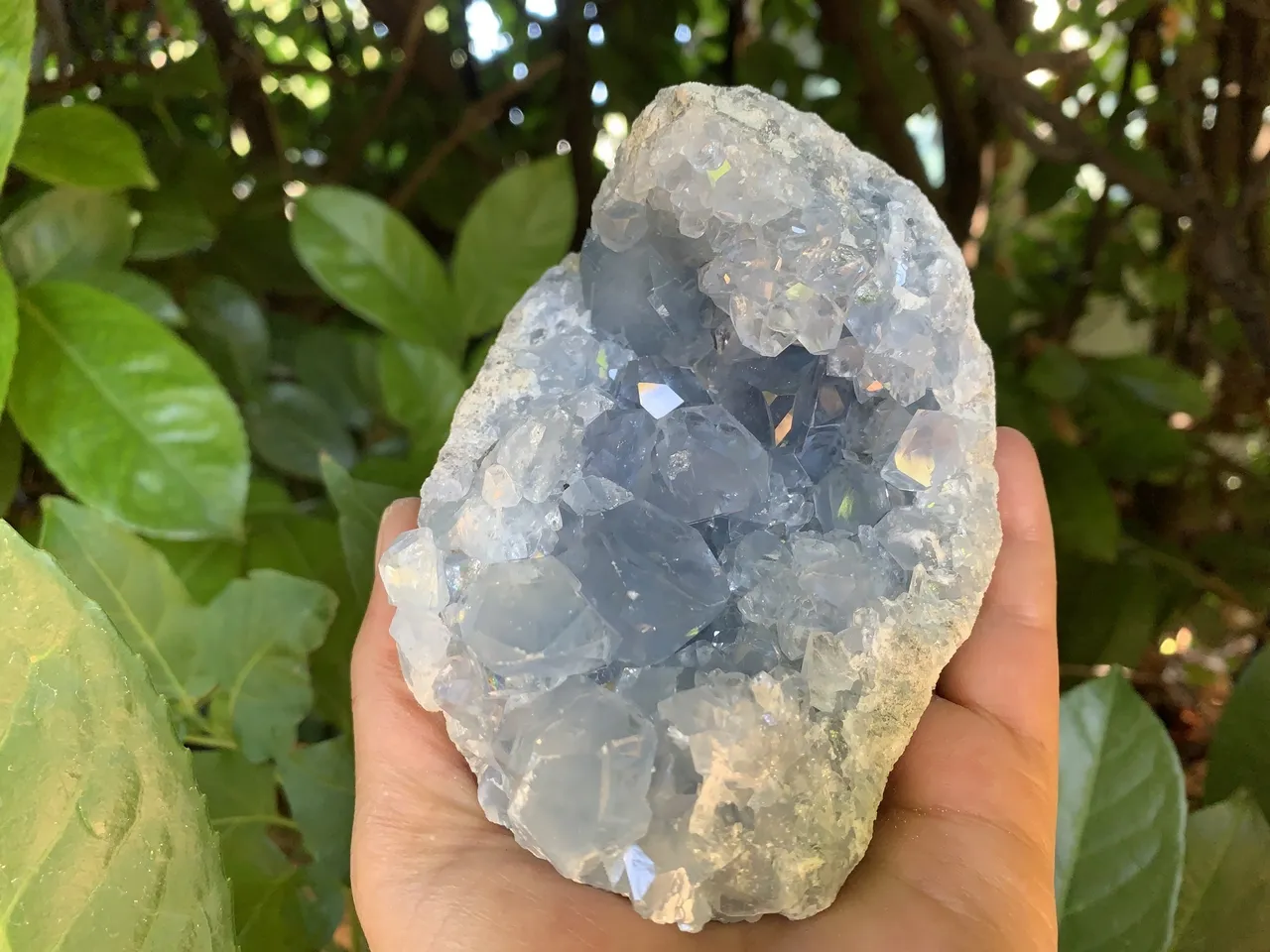 Géode Célestine Extra (1 kg) - Madagascar - Cristaux Naturels Qualité Exceptionnelle