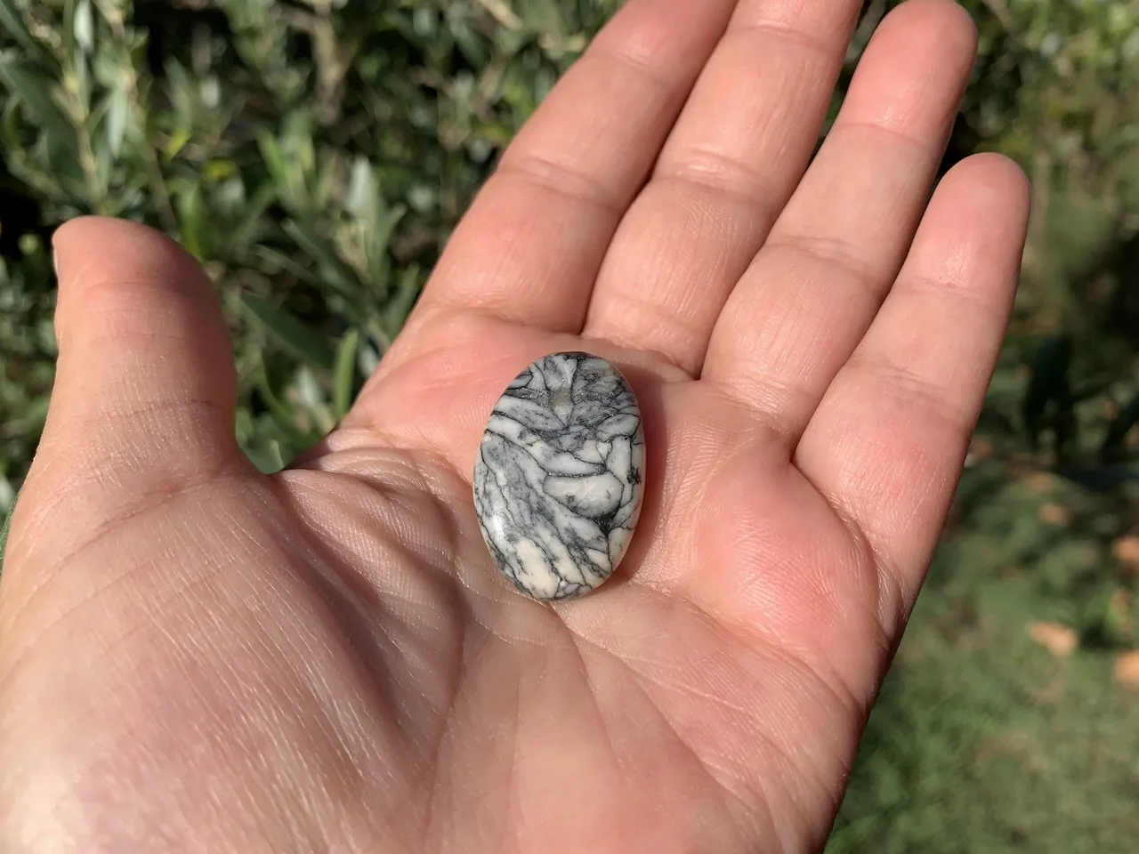 Pinolite AA+ (9 g) - Autriche - Pierre Naturelle Qualité Supérieure