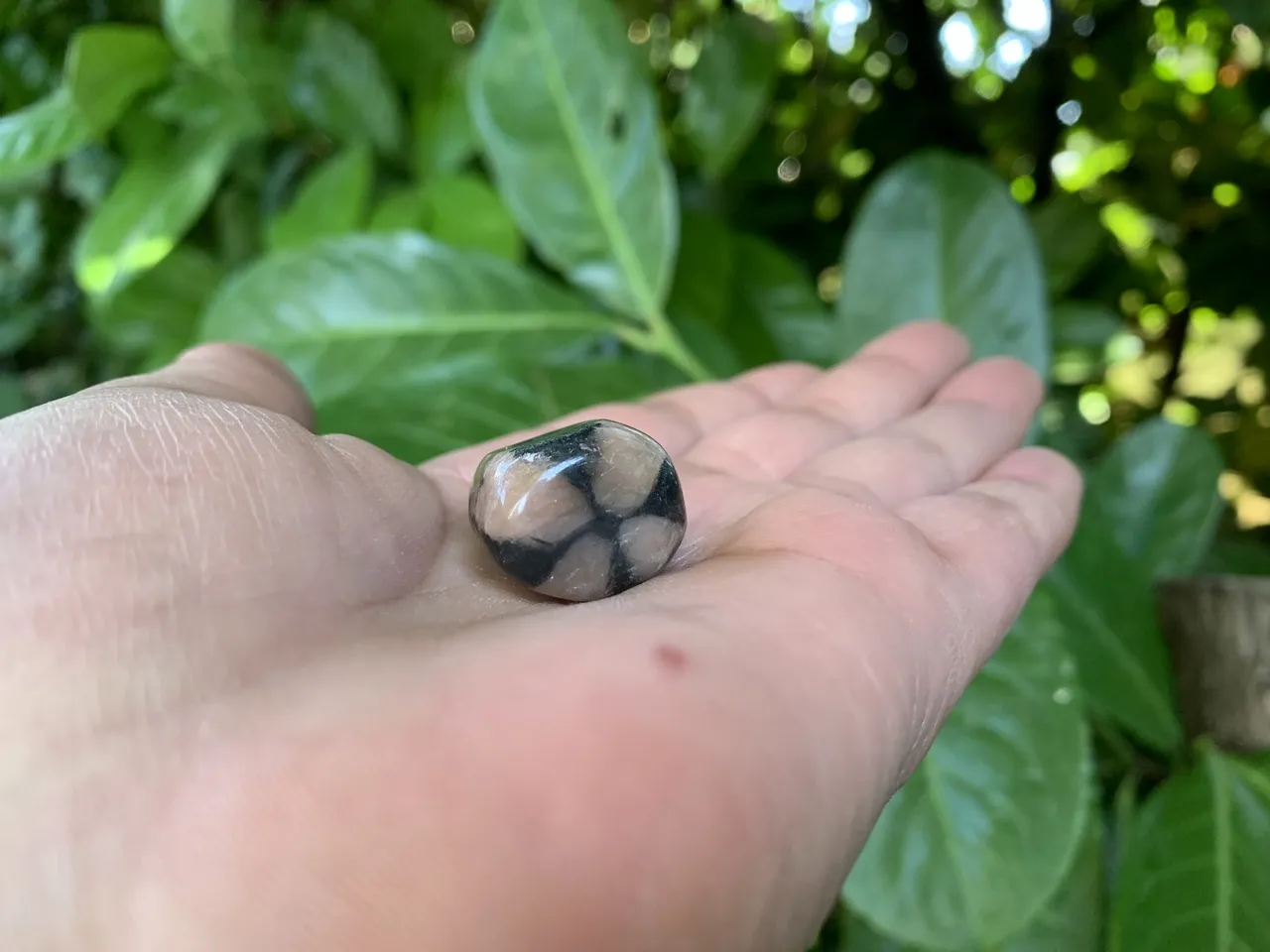 Pierre roulée Andalousite AAA (12 g) - Chine - Pierre  Naturelle Rare Qualité Exceptionnelle