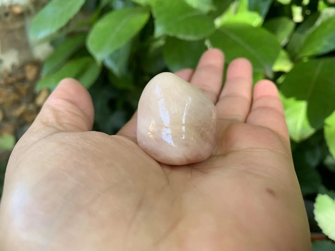 Pierre roulée Morganite A Naturelle Brésil (40 g)