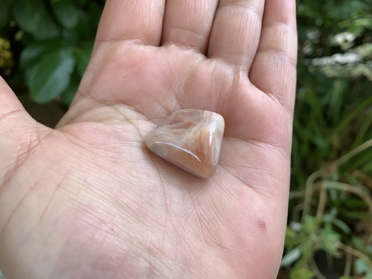 Pierre roulée Naturelle Pierre de Lune A (8 g) - Inde