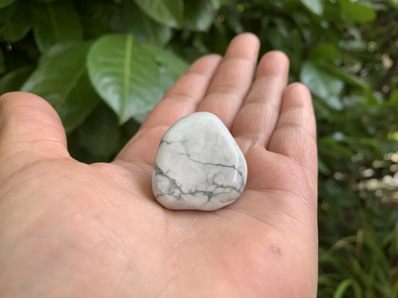 Pierre roulée Howlite A Naturelle (27 g) - Canada