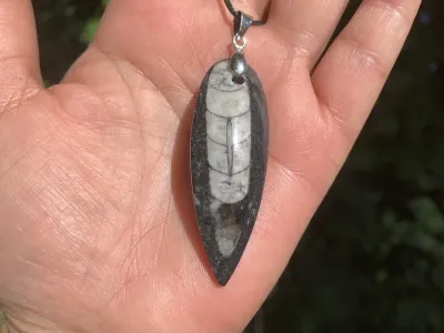 Collier Orthocéras AA+ Naturel Maroc - Voyage astral et Mémoire ancienne - Qualité Exceptionnelle